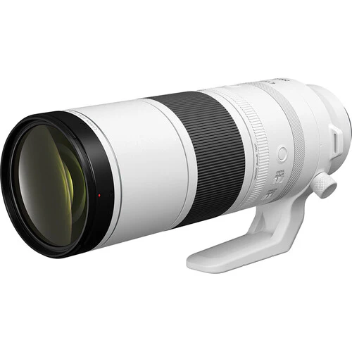 Canon RF 200-800mm f/6.3-9 IS USM - Image 3